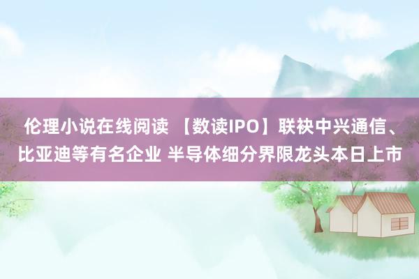 伦理小说在线阅读 【数读IPO】联袂中兴通信、比亚迪等有名企业 半导体细分界限龙头本日上市