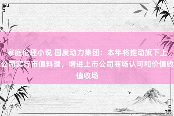 家庭伦理小说 国度动力集团：本年将推动旗下上市公司实行市值料理，增进上市公司商场认可和价值收场