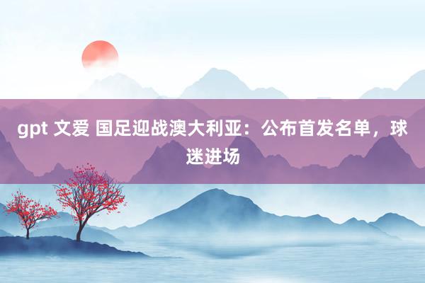 gpt 文爱 国足迎战澳大利亚：公布首发名单，球迷进场