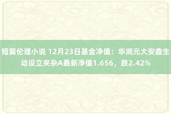 短篇伦理小说 12月23日基金净值：华润元大安鑫生动设立夹杂A最新净值1.656，跌2.42%