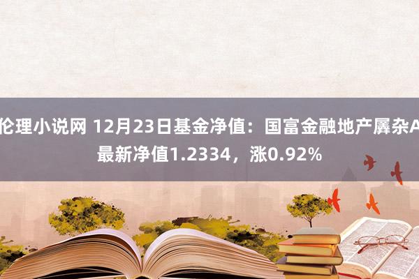 伦理小说网 12月23日基金净值：国富金融地产羼杂A最新净值1.2334，涨0.92%