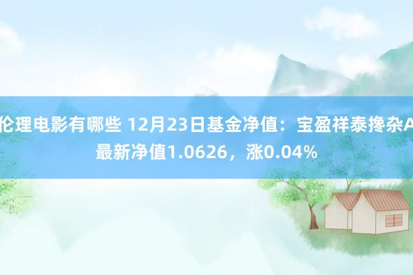 伦理电影有哪些 12月23日基金净值：宝盈祥泰搀杂A最新净值1.0626，涨0.04%