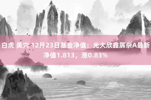 白虎 美穴 12月23日基金净值：光大欣鑫羼杂A最新净值1.813，涨0.83%