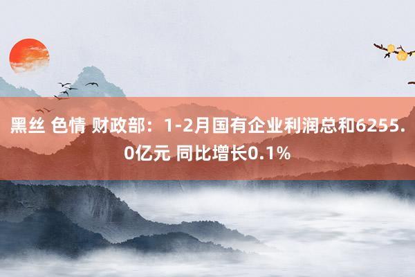 黑丝 色情 财政部：1-2月国有企业利润总和6255.0亿元 同比增长0.1%