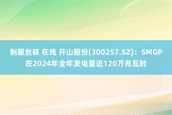 制服丝袜 在线 开山股份(300257.SZ)：SMGP在2024年全年发电量近120万兆瓦时