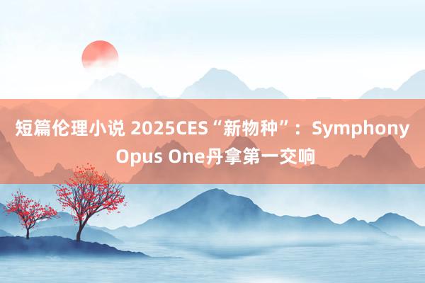 短篇伦理小说 2025CES“新物种”：Symphony Opus One丹拿第一交响