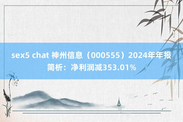sex5 chat 神州信息（000555）2024年年报简析：净利润减353.01%