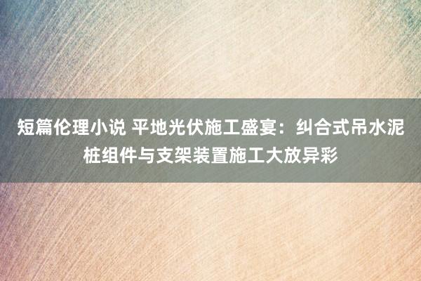 短篇伦理小说 平地光伏施工盛宴：纠合式吊水泥桩组件与支架装置施工大放异彩
