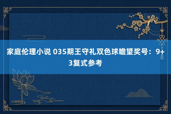 家庭伦理小说 035期王守礼双色球瞻望奖号：9+3复式参考