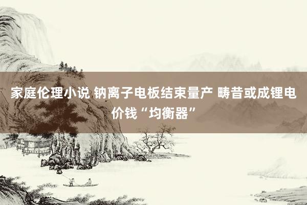 家庭伦理小说 钠离子电板结束量产 畴昔或成锂电价钱“均衡器”