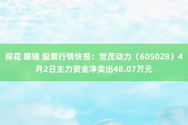 探花 眼镜 股票行情快报：世茂动力（605028）4月2日主力资金净卖出48.07万元