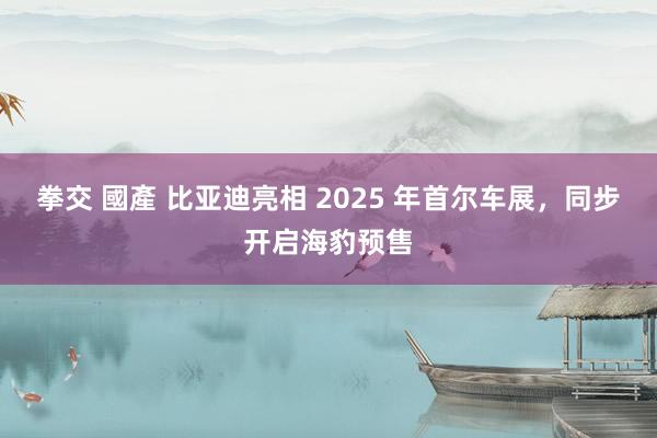 拳交 國產 比亚迪亮相 2025 年首尔车展，同步开启海豹预售