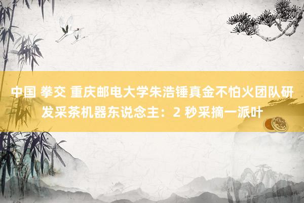 中国 拳交 重庆邮电大学朱浩锤真金不怕火团队研发采茶机器东说念主：2 秒采摘一派叶