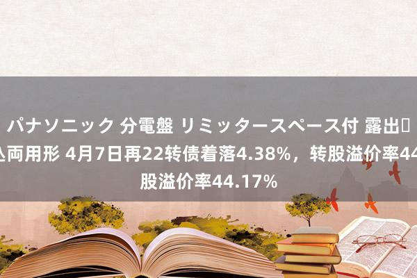 パナソニック 分電盤 リミッタースペース付 露出・半埋込両用形 4月7日再22转债着落4.38%，转股溢价率44.17%
