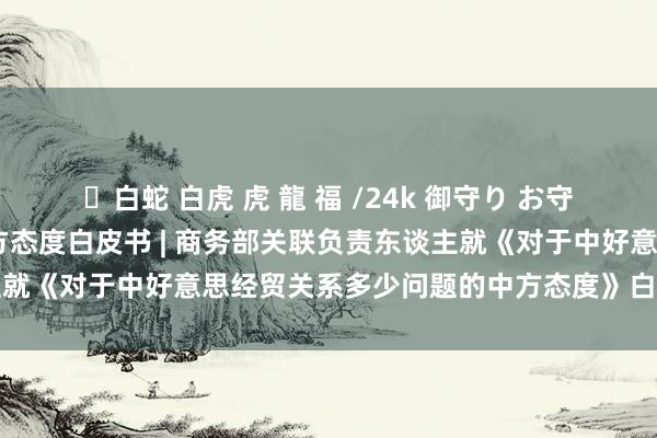✨白蛇 白虎 虎 龍 福 /24k 御守り お守り 中好意思经贸关系中方态度白皮书 | 商务部关联负责东谈主就《对于中好意思经贸关系多少问题的中方态度》白皮书答记者问