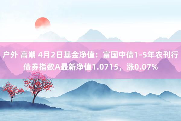 户外 高潮 4月2日基金净值：富国中债1-5年农刊行债券指数A最新净值1.0715，涨0.07%
