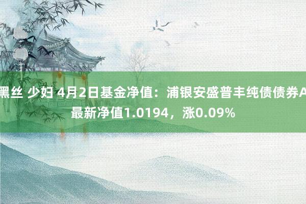黑丝 少妇 4月2日基金净值：浦银安盛普丰纯债债券A最新净值1.0194，涨0.09%