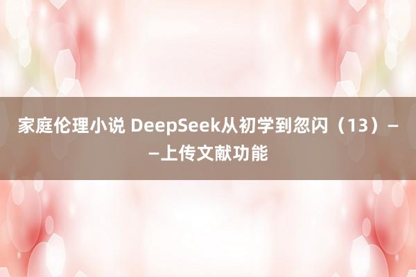 家庭伦理小说 DeepSeek从初学到忽闪（13）——上传文献功能