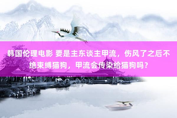 韩国伦理电影 要是主东谈主甲流，伤风了之后不绝束缚猫狗，甲流会传染给猫狗吗？
