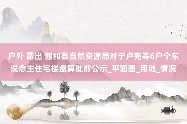 户外 露出 西和县当然资源局对于卢宪等6户个东说念主住宅楼盘算批前公示_平面图_用地_情况