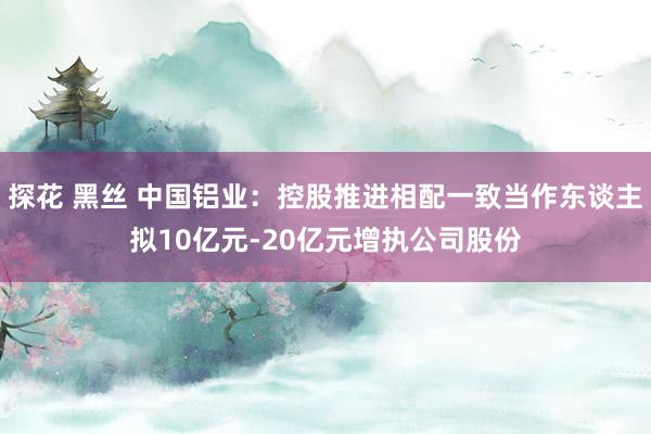 探花 黑丝 中国铝业：控股推进相配一致当作东谈主拟10亿元-20亿元增执公司股份