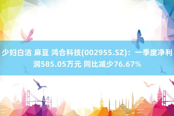 少妇白洁 麻豆 鸿合科技(002955.SZ)：一季度净利润585.05万元 同比减少76.67%
