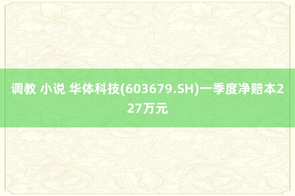 调教 小说 华体科技(603679.SH)一季度净赔本227万元